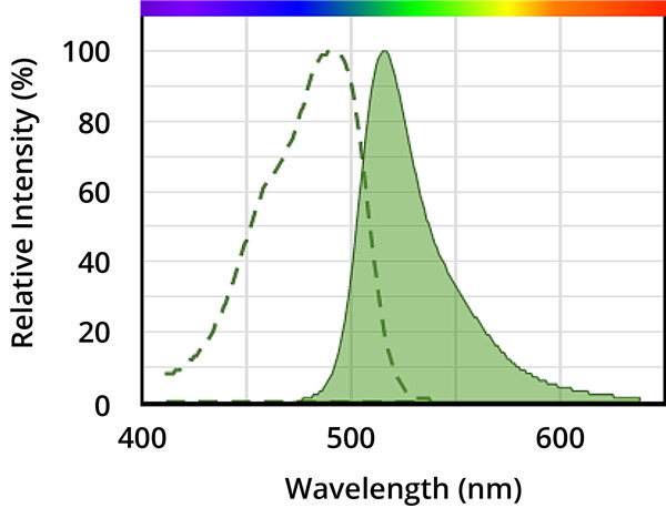 【荧光素大全】—荧光素及其衍生物产品汇总