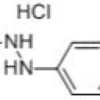 56413-75-3/	 2-硝基肼盐酸盐 ,	98%+