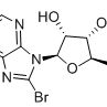 76939-46-3/8-溴腺苷-3',5'-环单磷酸钠