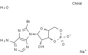 123334-12-3/8-溴腺苷3`,5`-环单磷酸钠盐一