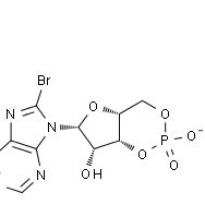 123334-12-3/8-溴腺苷3`,5`-环单磷酸钠盐一水