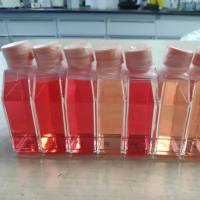 SCC-9 |SCC-9细胞|SCC9|SCC9细胞|SCC9人类鳞状上皮舌癌细胞/STR鉴定/镜像绮点(Cellverse)