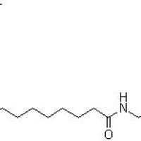 18286-71-0/N-苄基-9顺，12顺-亚油酸酰胺 ,	分析标准品,HPLC≥98%