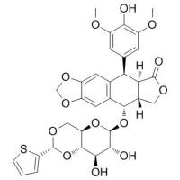29767-20-2/	 Teniposide ,	≥98%