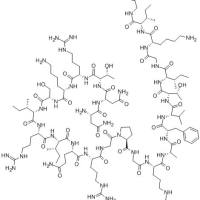 115416-08-5. ASN-ASN-THR-ARG-LYS-SER-ILE-ARG-ILE-GLN-ARG-GLY-PRO-GLY-ARG-ALA-PHE-VAL-THR-ILE-GLY-LYS-ILE-GLY