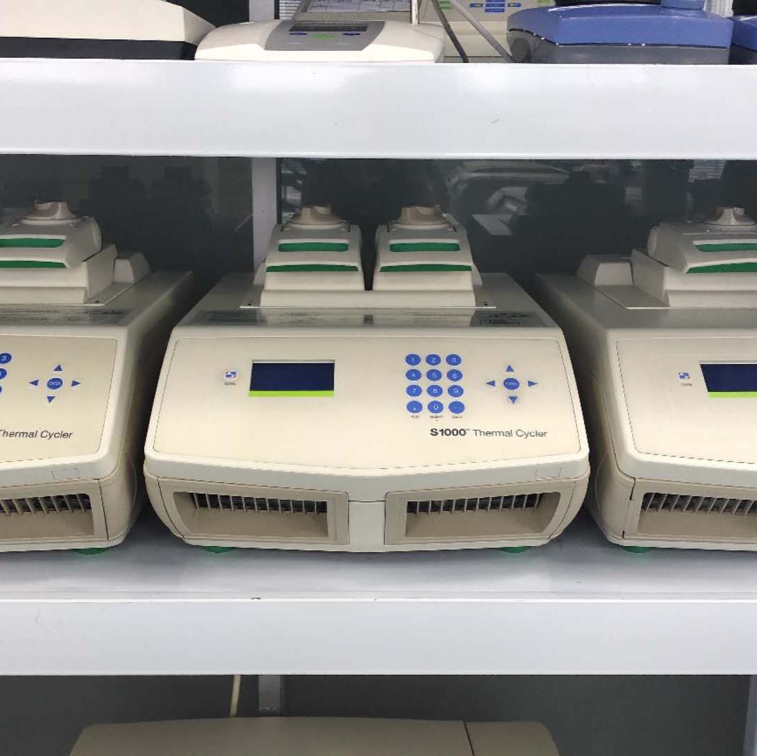 租赁S1000普通PCR仪伯乐
