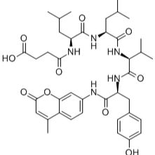 94367-21-2/N-琥珀酰基-亮氨酰-亮氨酰-缬氨酰-酪氨酸-7-胺基-4-甲基香豆素