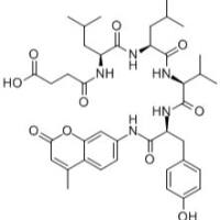 94367-21-2/N-琥珀酰基-亮氨酰-亮氨酰-缬氨酰-酪氨酸-7-胺基-4-甲基香豆素