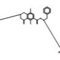 666236-28-8.赭曲霉毒素A-D5