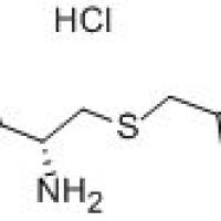 16741-80-3.	 S-苄基-L-半胱氨酸甲酯盐酸盐 ,	97%