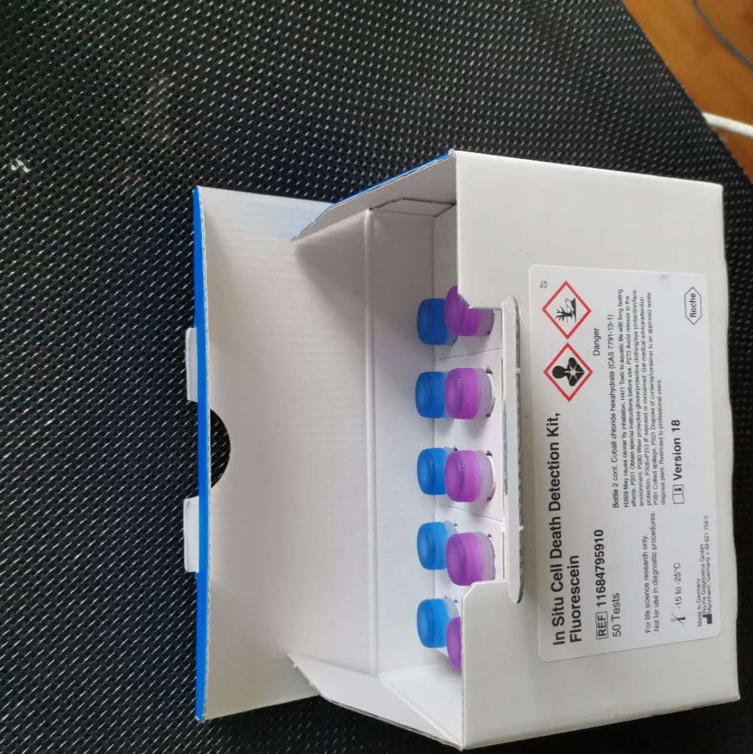 原位细胞死亡检测试剂盒，荧光素法
