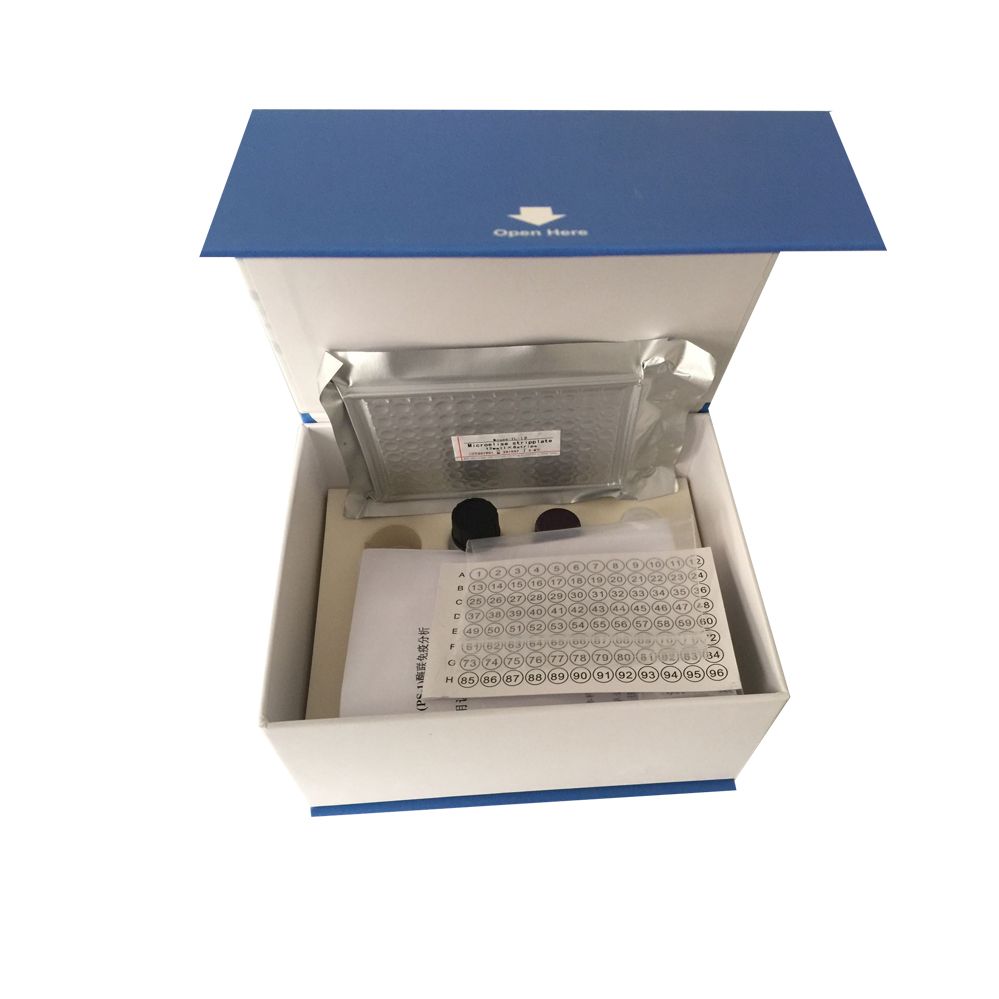 犬白细胞分化抗原8（CD8）ELISA试剂盒代测