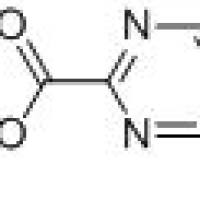 933738-87-5/	 4-甲基-2-嘧啶羧酸,	95%
