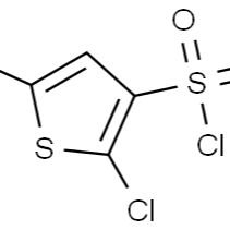 56946-83-9/2,5-二氯噻吩-3-磺酰氯