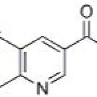 1216866-96-4/5-基-6-甲基烟酸