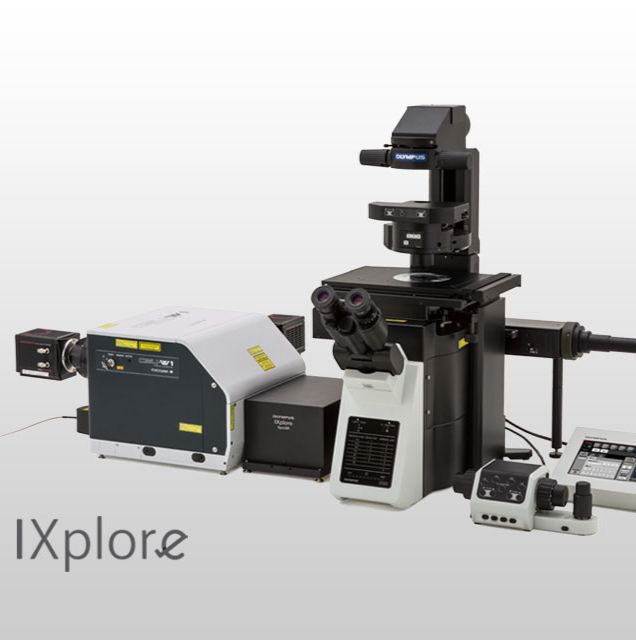 奥林巴斯倒置显微镜IXplore SpinSR