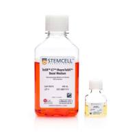 用于重编程的ReproTeSR™培养基（两组分）