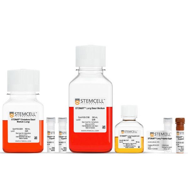STEMdiff™肺祖细胞试剂盒