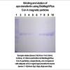 BioMag Plus Concanavalin A