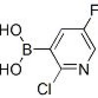 913373-43-0/2-氯-5-氟吡啶-3-硼酸,96%