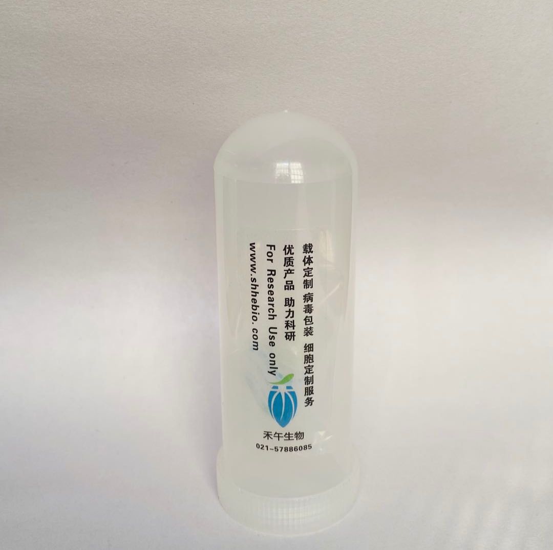 pCMV-SPORT6-ZNF658质粒