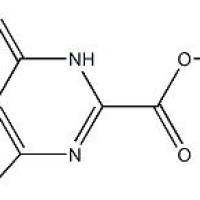 319442-19-8/	 4-氧代-3,4-二氢噻吩并[3,2-d]嘧啶-2-羧酸乙酯 ,	98%
