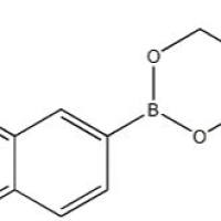 627906-96-1/2-萘硼酸新戊二醇酯