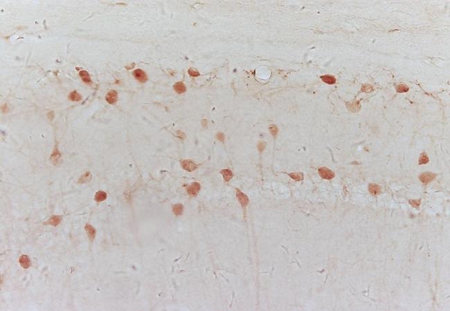 产品细节图片11