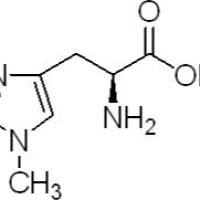 332-80-9/	 1-甲基-L-组氨酸 ,	98%