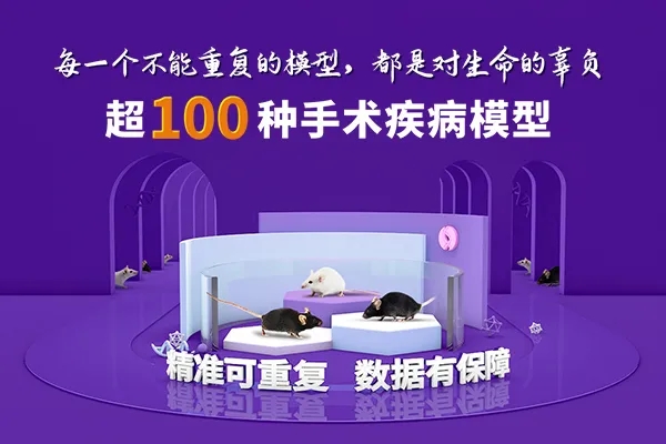 小鼠模型和细胞模型助您实验更胜一筹