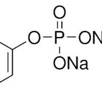 333338-18-4/ 对硝基酸二钠六水合物(PNPP) , 98%