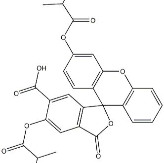 287111-44-8/5(6)-羧基荧光素二异丁酸酯