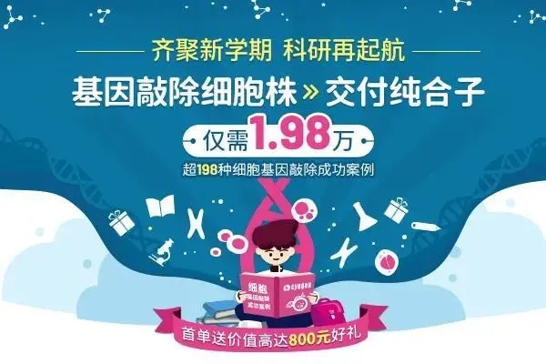 小鼠模型和细胞模型助您实验更胜一筹