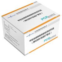 甲型流感病毒核酸检测试剂盒（酶切探针恒温扩增法）