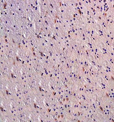 产品细节图片13