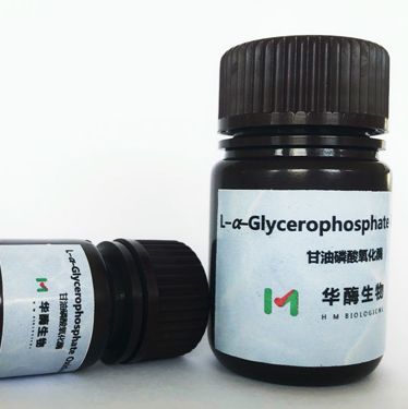 甘油磷酸氧化酶 ( GPO )