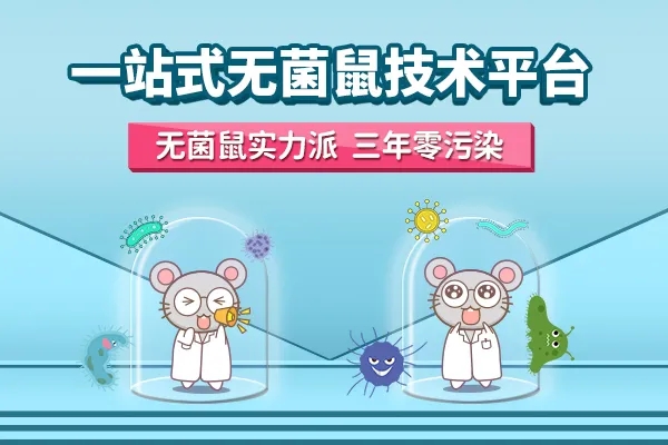 小鼠模型和细胞模型助您实验更胜一筹