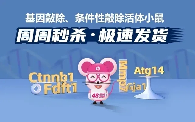 小鼠模型和细胞模型助您实验更胜一筹