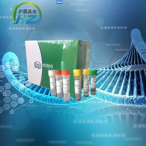 内罗毕羊病病毒RT-PCR试剂盒