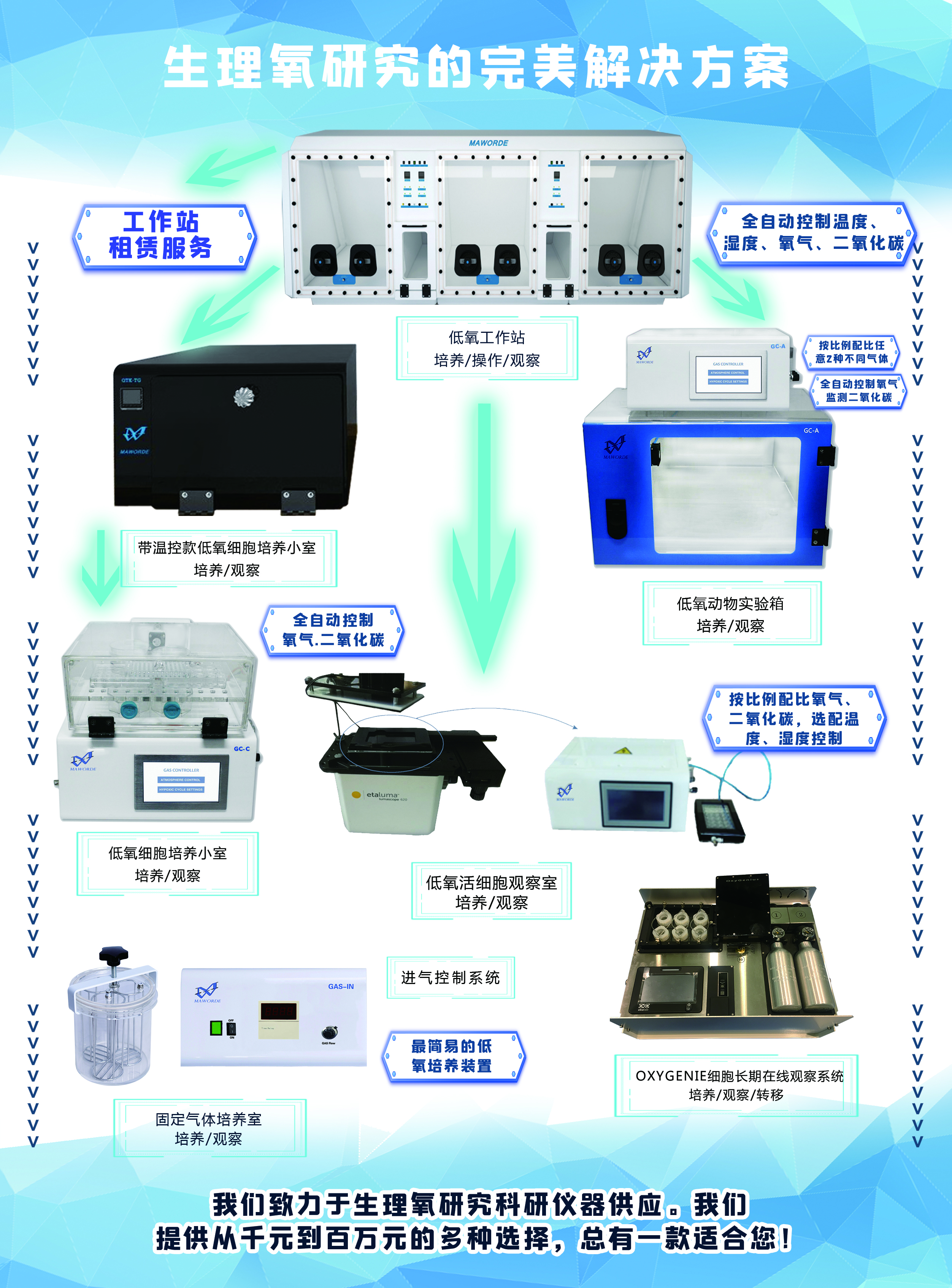 Ruskinn低氧工作站细胞免疫治疗领域研究——低氧条件下CD8+T细胞向分泌IL-10、增殖能力差的效应细胞的表型转换