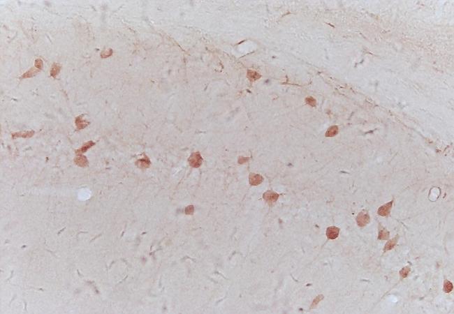 产品细节图片10