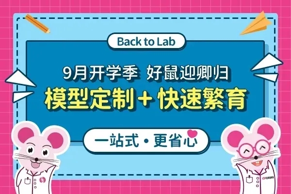 小鼠模型和细胞模型助您实验更胜一筹