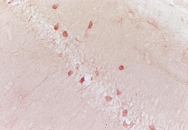 产品细节图片12