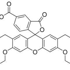117464-70-7/ 2',7'-二-(2-羧乙基)-5(6)-羧基荧光素乙酰甲酯 ,Mixed isomers