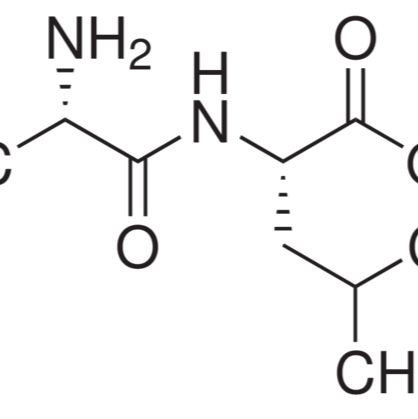 3303-34-2/ L-丙氨酰-L-亮氨酸 ,≥98%