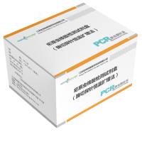 疟原虫核酸检测试剂盒（酶切探针恒温扩增法）