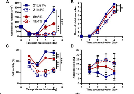 Ruskinn低氧工作站细胞免疫治疗领域研究——低氧条件下CD8+T细胞向分泌IL-10、增殖能力差的效应细胞的表型转换