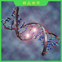 全基因组甲基化