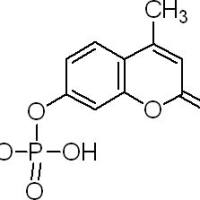 3368-04-5/	 4-甲基伞形酮酰磷酸酯 ,	≥97%（HPLC）