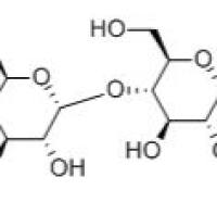 66068-38-0/对硝基基麦芽五糖